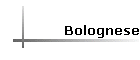 Bolognese